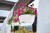 Stefanplast-doniczka-wiszaca-ratan-nawadnianie-30-cm-ratanowa-z nawadnianiem.jpg