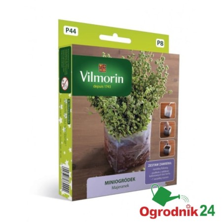 vil-miniogrodek-majeranek.jpg