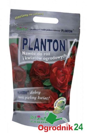 PLANTON RÓŻE KWIATY OGRODOWE.jpg