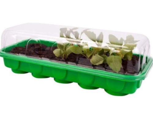 Przejdź do produktu Miniszklarenka i krążki torfowe 745201