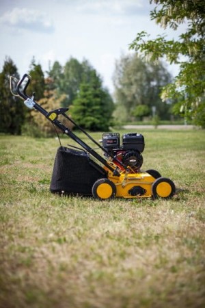 silex_svp_40_b (5).jpg