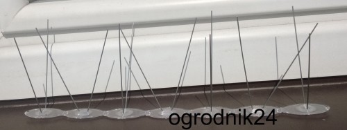 Przejdź do produktu Kolce igły odstraszają ptaki gołębie C2 36cm 