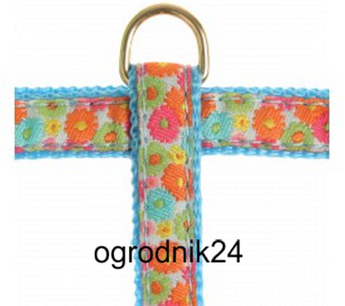 Przejdź do produktu Zolux 510080BL szelki hippy 10 mm dla kota 