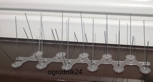 Przejdź do produktu Kolce igły odstraszają ptaki gołębie E4 33cm 