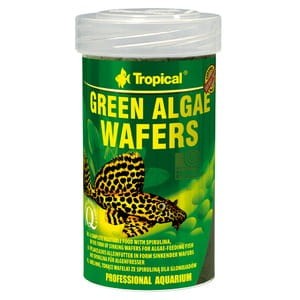 Przejdź do produktu TROPICAL GREEN ALGAE WAFERS 100ML/45G