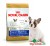 FRENCH BULLDOG JUNIOR OGRODNIK24.jpg