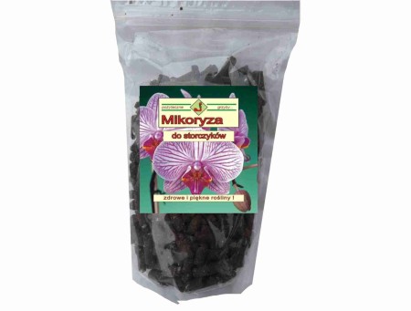 mikoryza-do-storczykow-orchidei.jpg