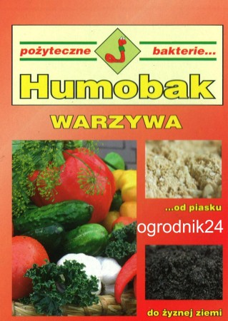 H.WARZYWA.jpg