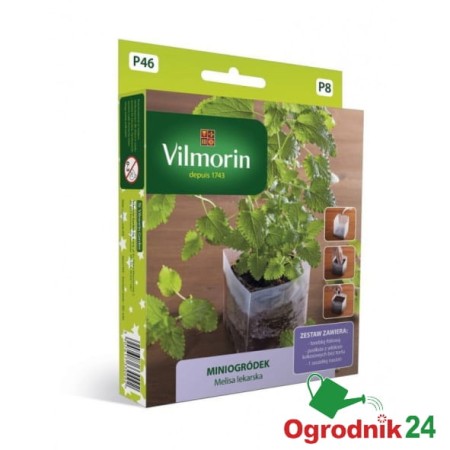 vil-miniogrodek-melisa-lekarska.jpg