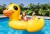 56286_kaczka-dmuchana-plywajaca-wyspa-221x221x122cm-intex-4.jpg
