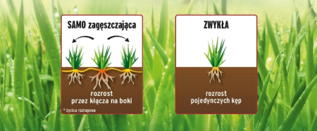 trawa-renowacyjna-samozageszczajaca-odporna-na-deptanie-substral.png