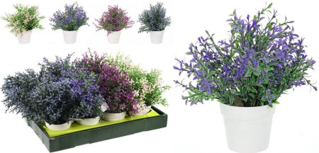 roslina-w-ceramicznej-oslonce..JPG