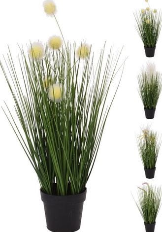 Przejdź do produktu Trawa ozdobna w osłonce 26cm 882216