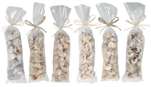 Przejdź do produktu Muszelki do dekoracji ozdoba 390660