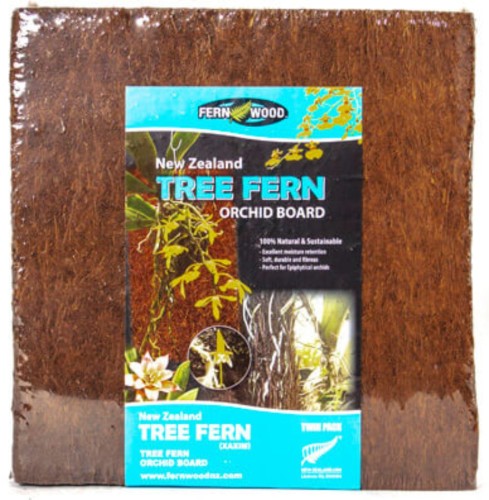 Przejdź do produktu Panel z paproci do storczyków i terrarium Tree Fern 2szt 30x30cm