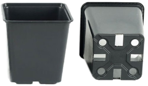 Przejdź do produktu Doniczka produkcyjna czarna kwadrat 11x11x12cm 50szt