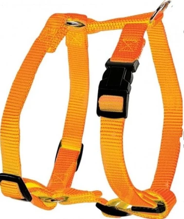 462070ora.JPG