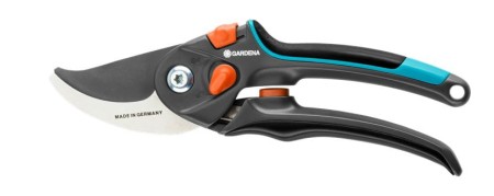 8905.JPG