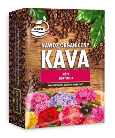 kava hortensja.JPG