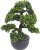 drzewko-bonsai-sztuczne-31cm-w-doniczce-317002760.jpg