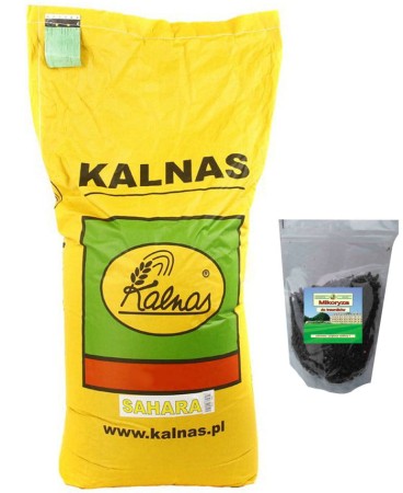 trawa-sahara-mikoryza-gratis-kalnas.jpg