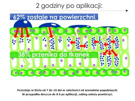 neemazal-stosowanie.JPG