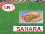 trawa-sahara-0,1kg-tereny-suche.jpg