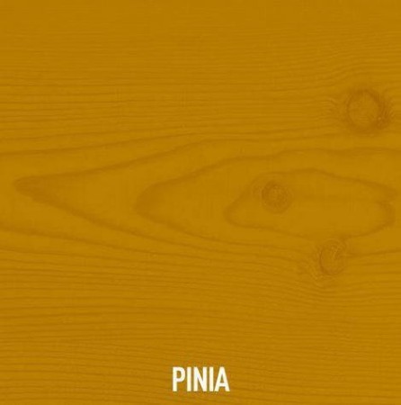 pinia.JPG