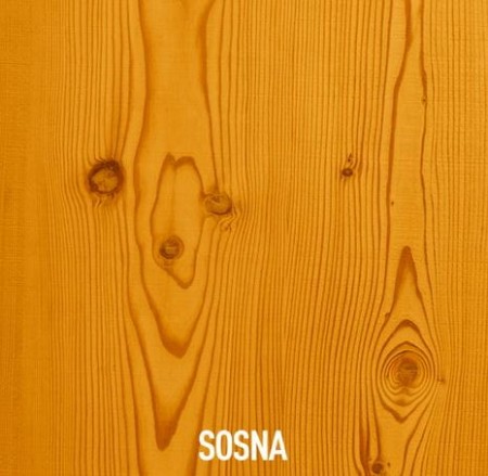 lakierobejsca-sosna.JPG
