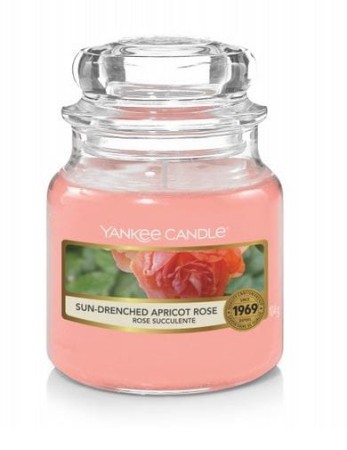 sun-drenched-apricot-rose-maly-sloik-yc.JPG