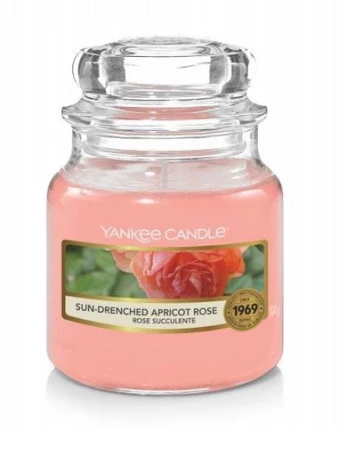 sun-drenched-apricot-rose-maly-sloik-yc.JPG