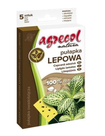 pulapka-lepowa-5szt.JPG