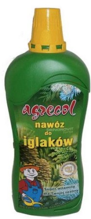 29.JPG