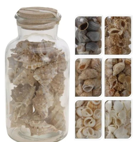Przejdź do produktu Muszle dekoracyjne w słoiku 463043
