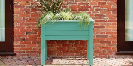 farba-viva-garden-aromatyczna-szalwia.jpg