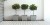 wzor-viva-garden-suszona-mieta.jpg