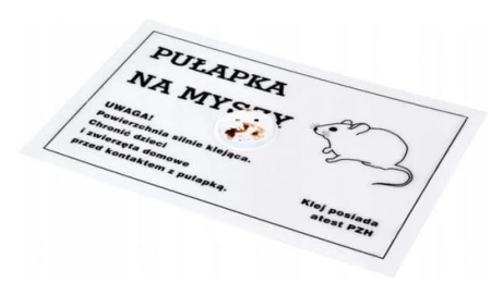 pulapka-lepowa-na-myszy-pum-z-kapslem.JPG