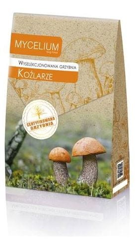 Przejdź do produktu Grzybnia koźlarza koźlaka kozaka 120 ml 367