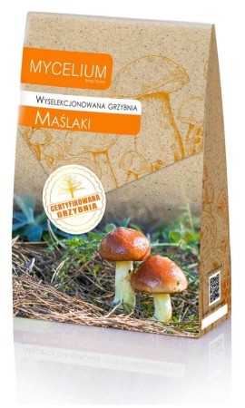 grzybnia-maslak-120ml-381.JPG