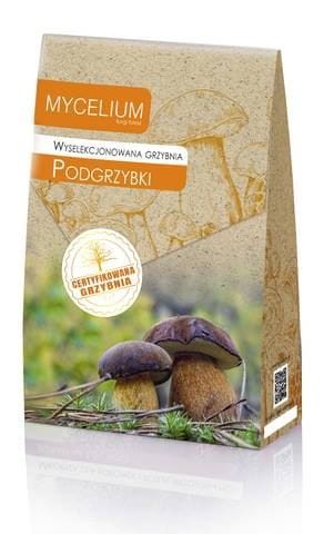 Przejdź do produktu Grzybnia Grzyby Podgrzybki 120ml