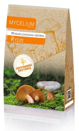 grzybnia-rydze-120ml-398.JPG