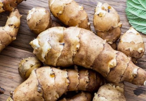 Przejdź do produktu Topinambur sadzonki karczoch jerozolimski 3szt