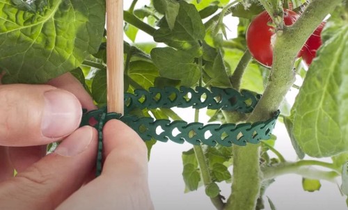 Przejdź do produktu Opaska zaciskowa zielona wielokrotnego użytku 10x300mm 24szt rapstrap