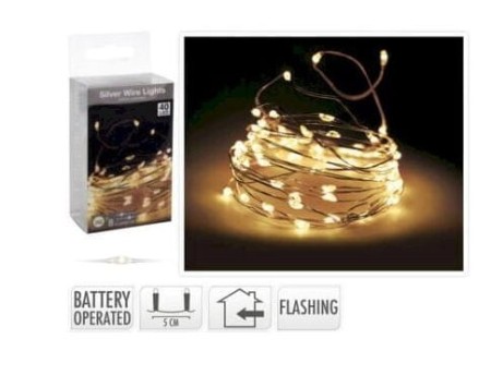 lampki-led-na-druciku-40led-bialy-cieply-flesh.JPG