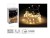 lampki-led-na-druciku-40led-bialy-cieply-flesh.JPG
