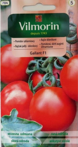 Przejdź do produktu Pomidor szklarniowy Galant 0,2g Vilmorin 