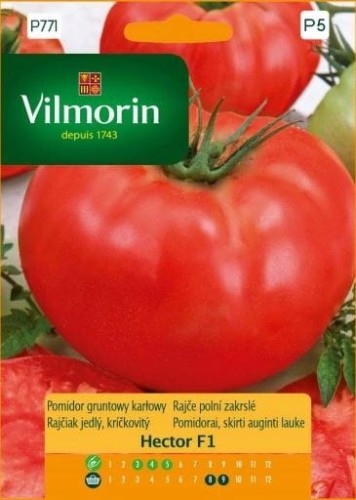 Przejdź do produktu Pomidor Hector gruntowy karłowy F1 0,1 g Vilmorin 