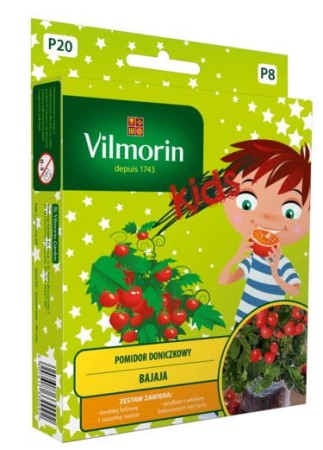 pomidor-doniczkowy-bajaja-0,5g-vilmorin-dla-dzieci.JPG