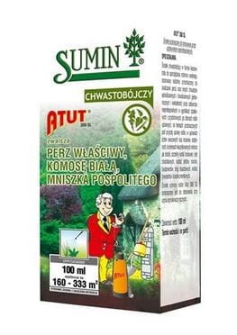 sumin-atut.JPG