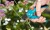 sekator-ogrodowy-classic-gardena.JPG